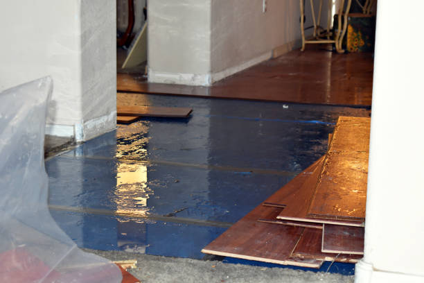 Professional Basement Flood Cleanup technician working in Carteret, NJ